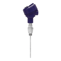 Wika - Termorresistencia TR10-B - Imagen 2