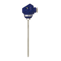 Wika - Termorresistencia TR10-H - Imagen 2