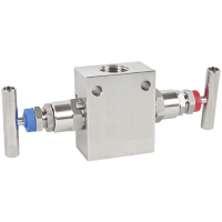 Wika - Manifold de 2 válvulas IV20, IV21 - Imagen 2