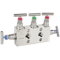 Wika - Manifold IV30-IV31 - Imagen 2