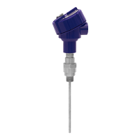 Wika - Termorresistencia TR10-L - Imagen 2